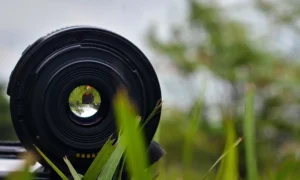 Read more about the article 3 Tips For Better Stock Photos
