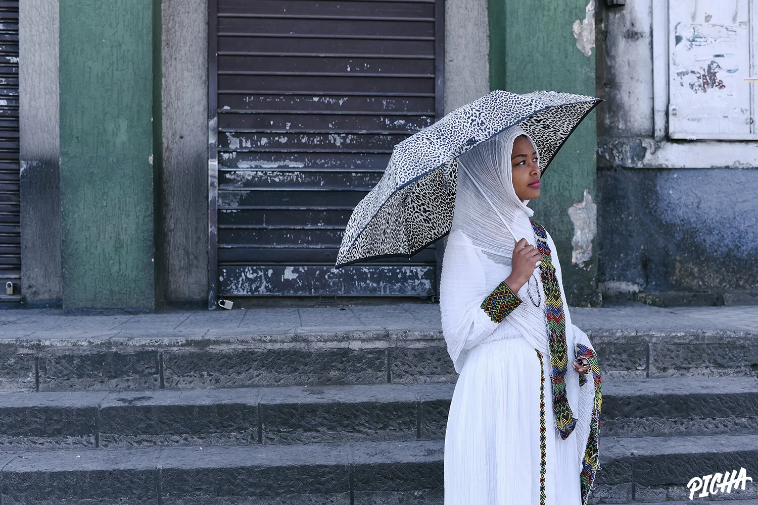You are currently viewing PICHA’s Top 5 Image Submissions For February 2019