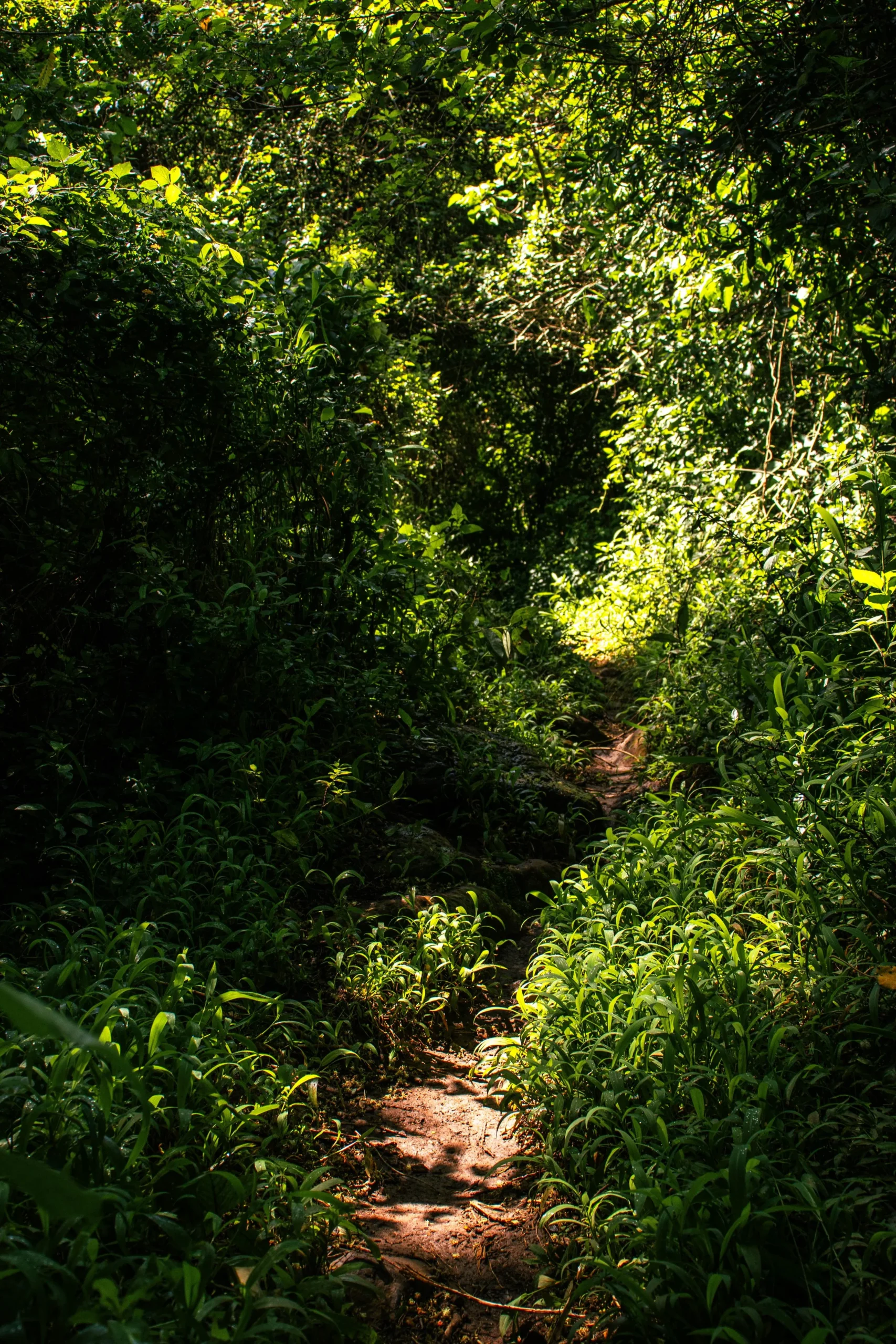 Read more about the article The Liminal Allure of the Countryside