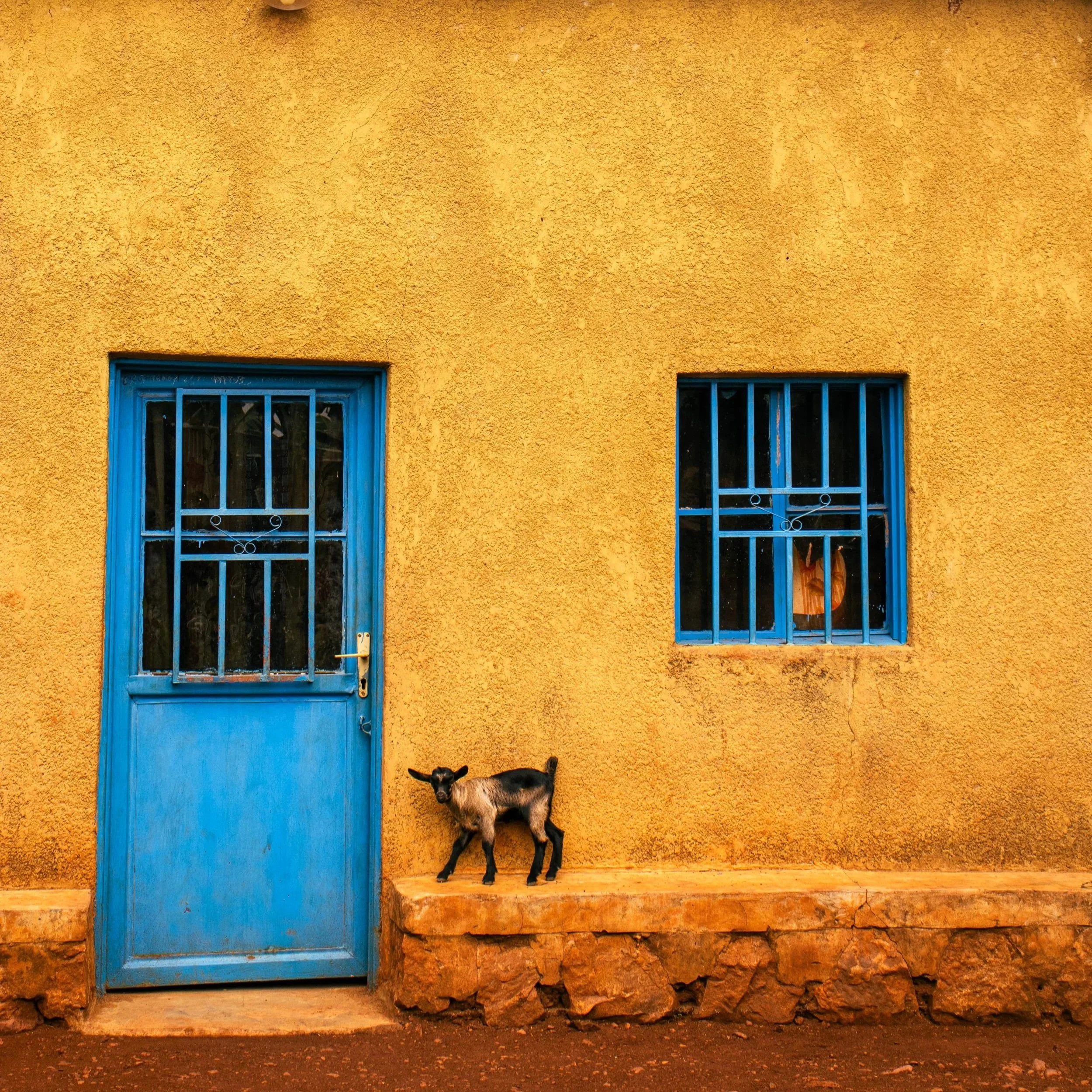 Read more about the article BLUE, YELLOW, AND GREEN